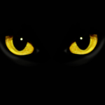 Cat-eyes